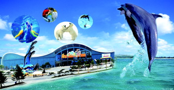 玩轉(zhuǎn)蛇年！盤點春節(jié)各大主題旅游線路（組圖）