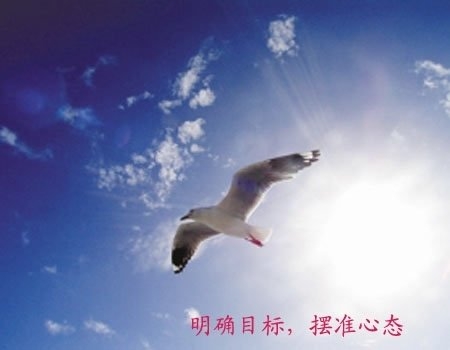 大學(xué)生另類創(chuàng)業(yè)盤點(diǎn):刷馬桶刷出個千萬富翁