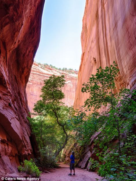 北美令人驚艷的大自然風光(組圖)