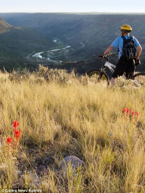 北美令人驚艷的大自然風光(組圖)