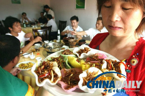 世界各地超級恐怖的蟲子大餐（組圖）