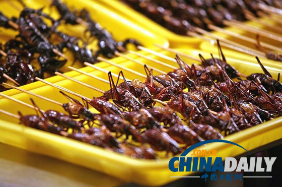 世界各地超級(jí)恐怖的蟲(chóng)子大餐（組圖）