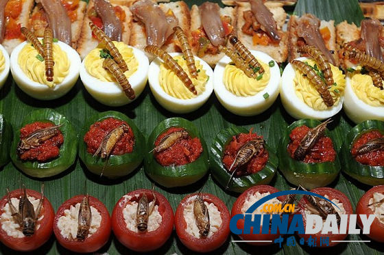 世界各地超級恐怖的蟲子大餐(組圖)