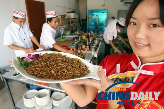 世界各地超級恐怖的蟲子大餐（組圖）