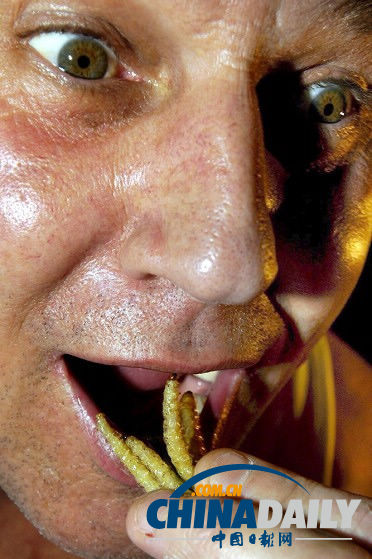 世界各地超級恐怖的蟲子大餐(組圖)