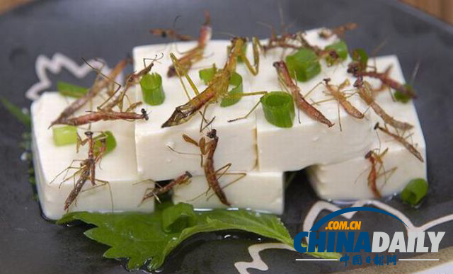世界各地超級恐怖的蟲子大餐（組圖）