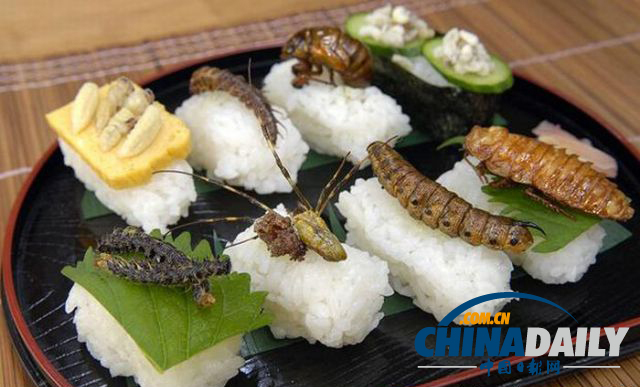 世界各地超級恐怖的蟲子大餐（組圖）