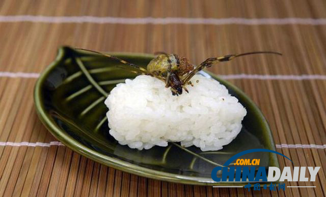 世界各地超級恐怖的蟲子大餐（組圖）