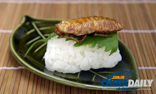 世界各地超級恐怖的蟲子大餐（組圖）