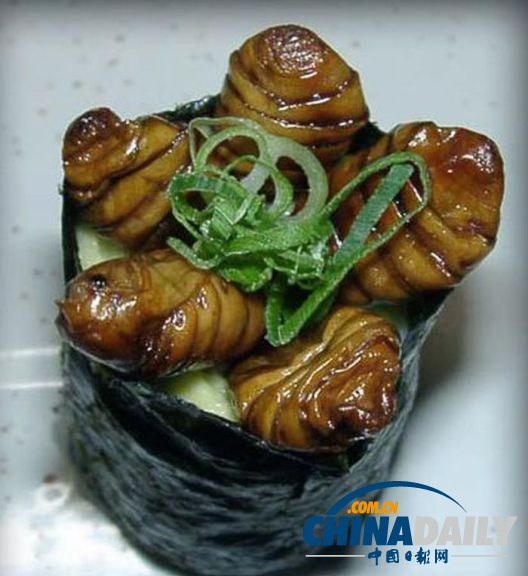 世界各地超級恐怖的蟲子大餐（組圖）