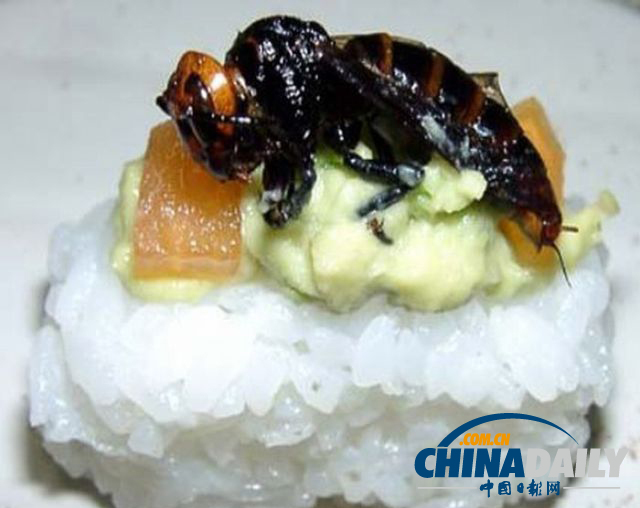 世界各地超級恐怖的蟲子大餐（組圖）