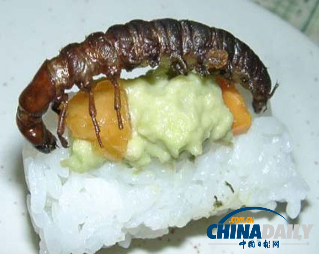 世界各地超級恐怖的蟲子大餐（組圖）
