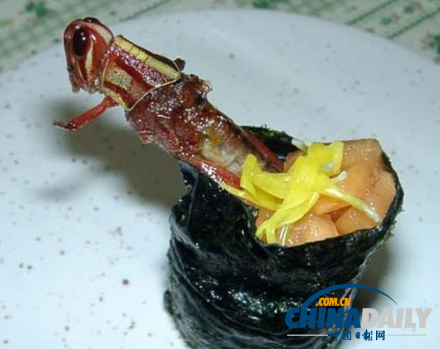 世界各地超級恐怖的蟲子大餐（組圖）