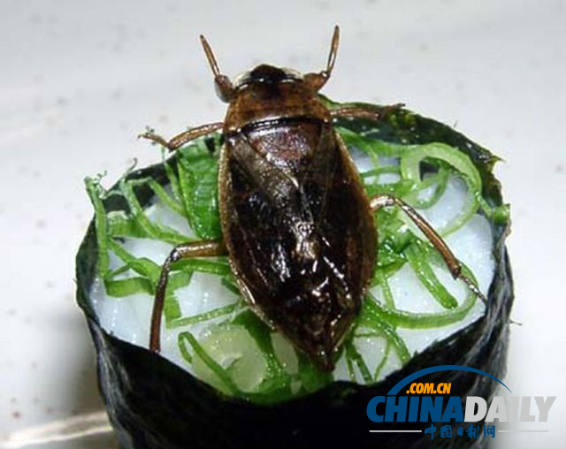 世界各地超級(jí)恐怖的蟲(chóng)子大餐（組圖）