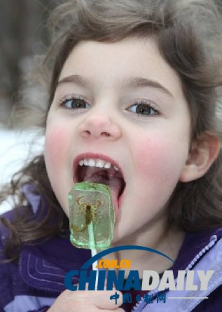 世界各地超級恐怖的蟲子大餐（組圖）