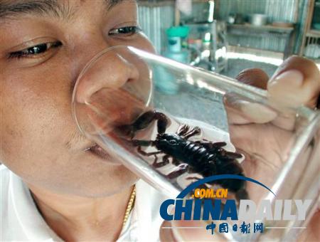世界各地超級恐怖的蟲子大餐（組圖）