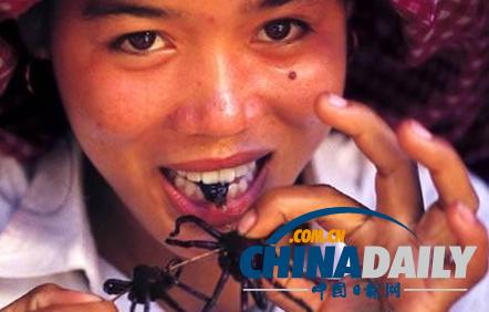 世界各地超級(jí)恐怖的蟲(chóng)子大餐(組圖)