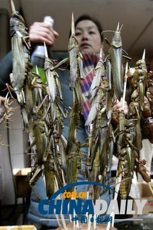 世界各地超級恐怖的蟲子大餐（組圖）