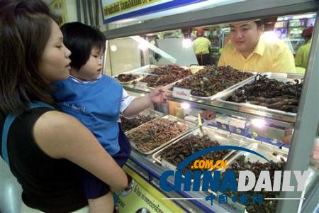 世界各地超級恐怖的蟲子大餐（組圖）