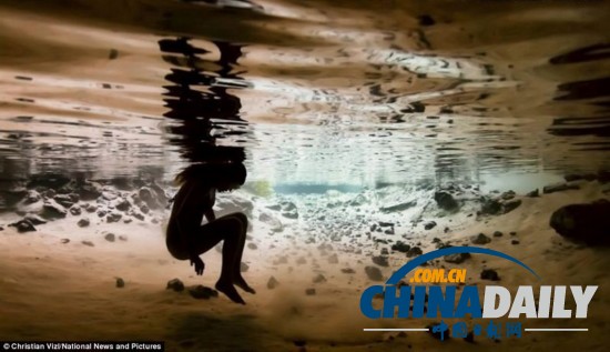 水下攝影大賽：裸女萌海豹兇殘鯊魚