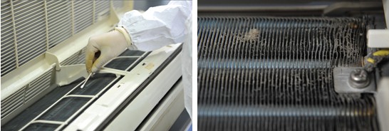 空調散熱片藏“毒”駭人 你真的會洗嗎？