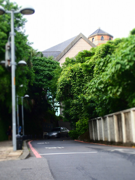 畢業(yè)之前去臺(tái)灣看看世界