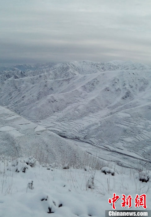 甘肅：局地現(xiàn)“夏日飛雪”奇觀(圖)