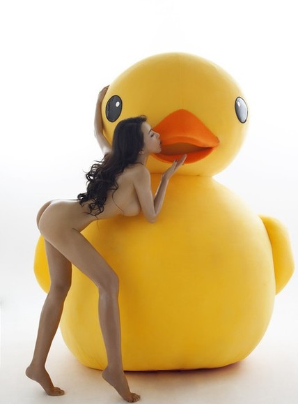 山寨大黃鴨現(xiàn)北京 正版大黃鴨曾肉搏