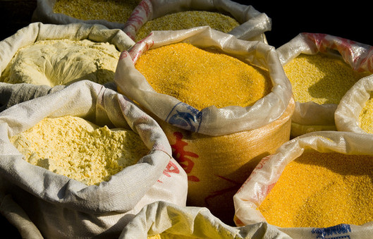 8億窮人免費領糧食？