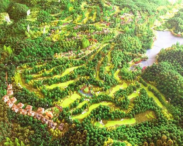 貴龍國際:打造旗艦型原生態度假新“森”活