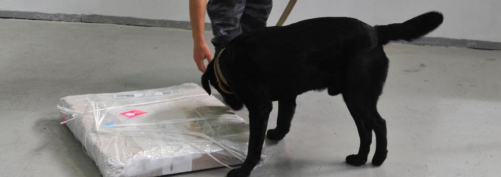 俄羅斯為APEC峰會構建嚴密安保網