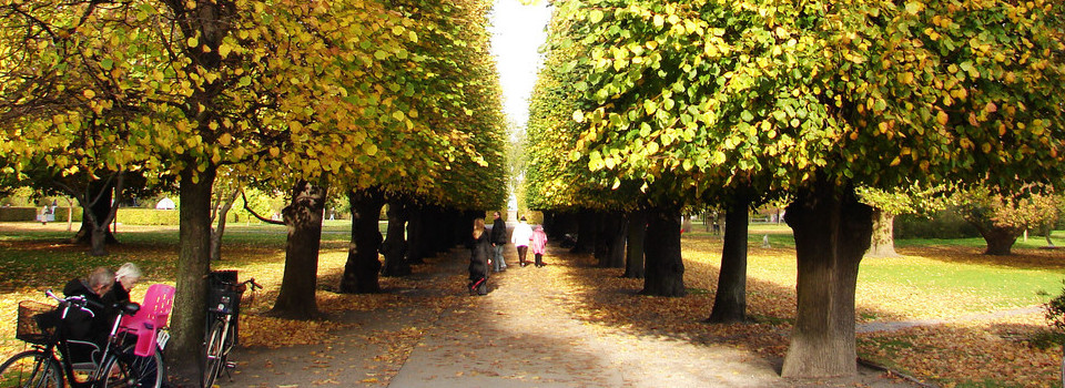 丹麥公園