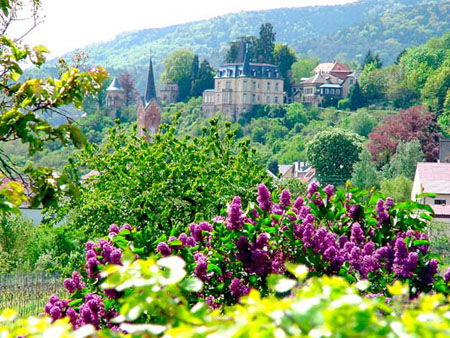 探尋古老德國的葡萄酒之路