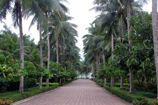植物王國——興隆熱帶森林公園