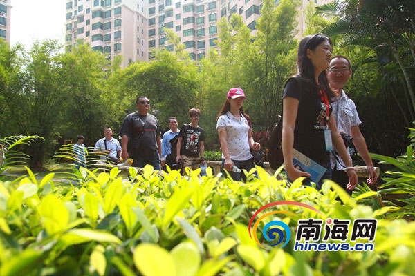 十年磨一劍 “五個龍華”鑄造?？诂F代化新城區