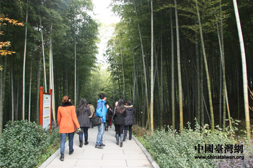 全國網媒走進常州溧陽 感受南山竹海竹之美（圖）