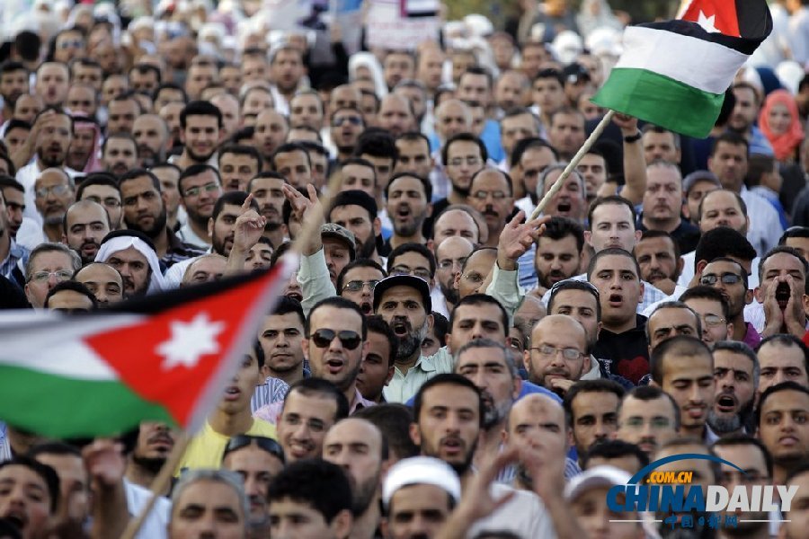 多國民眾集會(huì)聲援埃及被廢黜總統(tǒng)穆爾西 反對(duì)武力清場(chǎng)