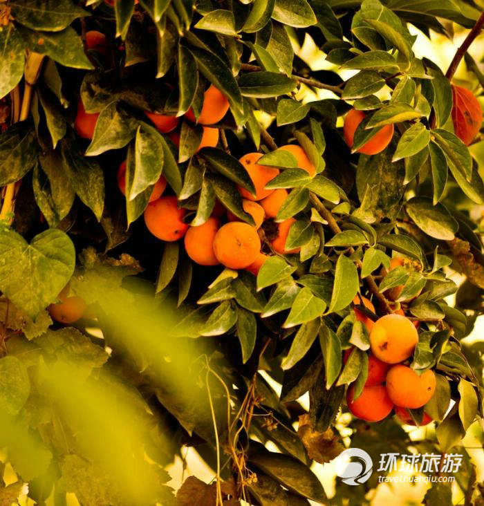 五彩繽紛的烏茲別克斯坦(組圖)