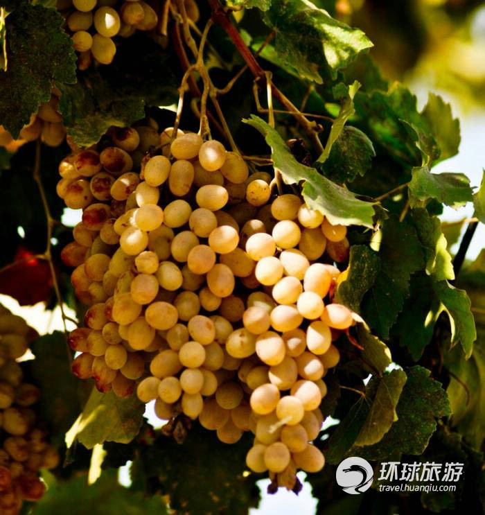 五彩繽紛的烏茲別克斯坦（組圖）