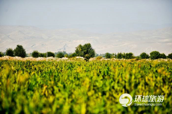 五彩繽紛的烏茲別克斯坦(組圖)