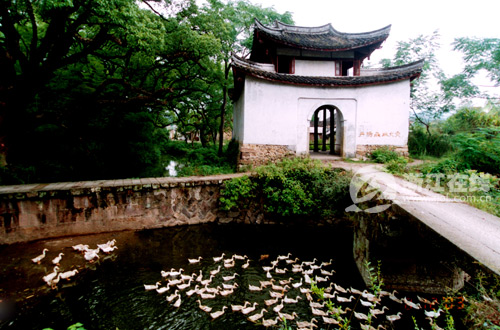 麗水堰頭村:千年古堰,傳承一段史