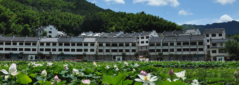 麗水蓮都區利山村