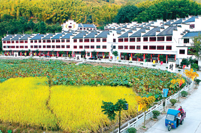 麗水蓮都利山村:煥然一新的畬族村