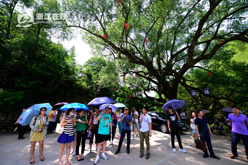 被“盤下”的利山村，一處秀山麗水的養生福地