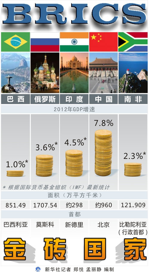 背景資料：金磚國家（圖表）