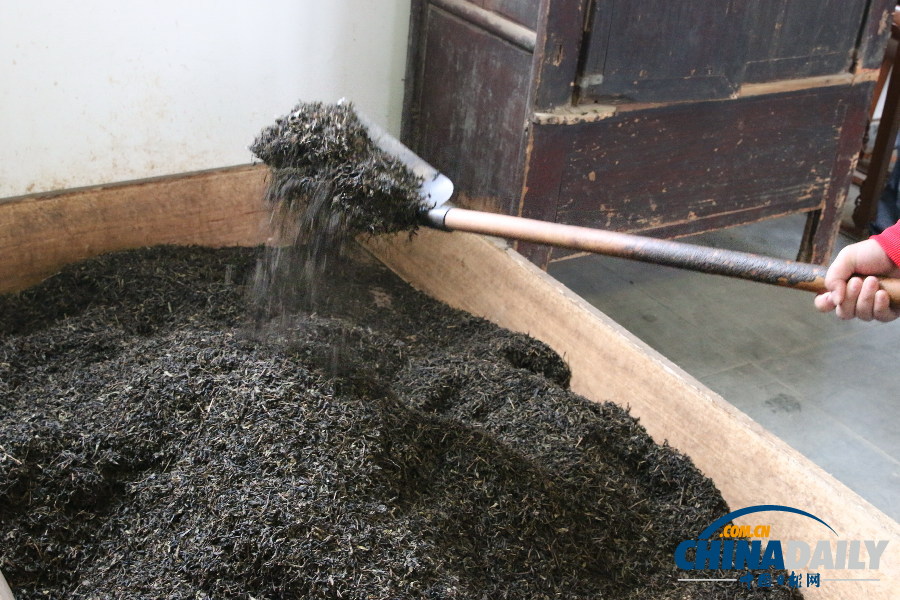 探絲綢之路神秘之茶 悟融匯古今絲路新發展