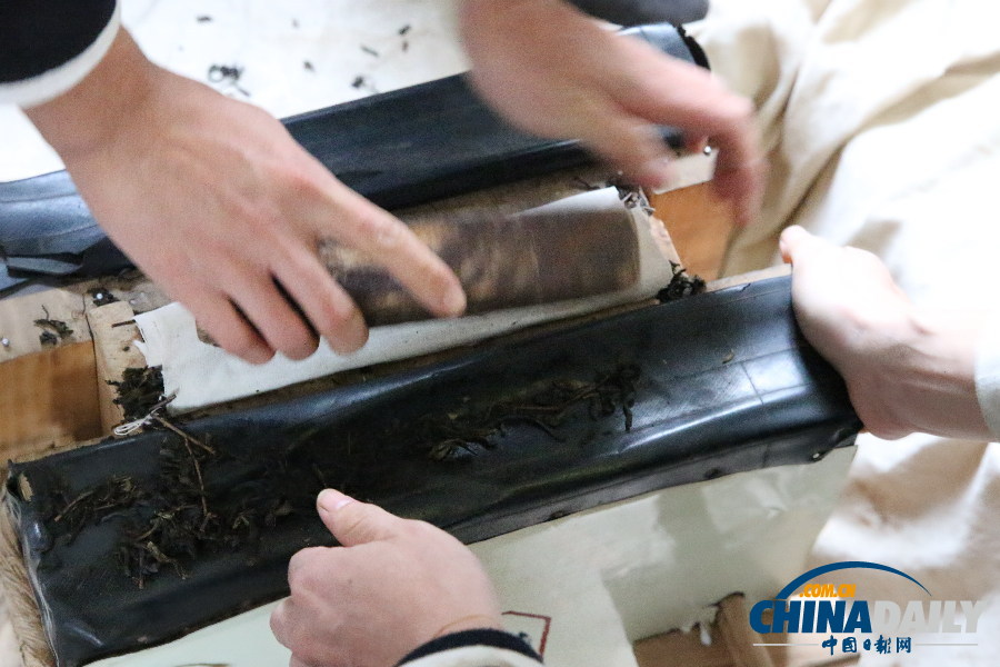 探絲綢之路神秘之茶 悟融匯古今絲路新發(fā)展