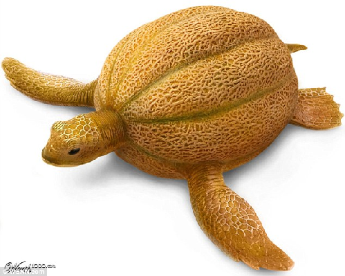 知名藝術網站擺圖片設計擂臺賽（組圖）