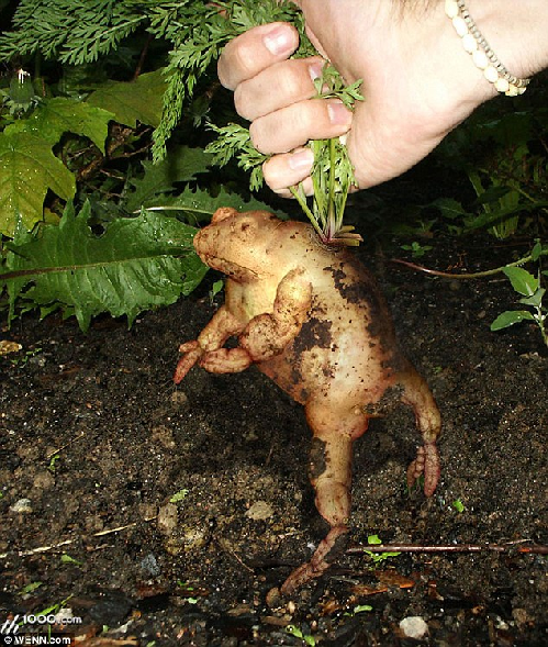 知名藝術網站擺圖片設計擂臺賽（組圖）