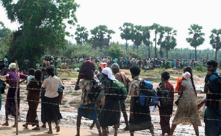 斯政府軍成功解救5萬(wàn)余平民 猛虎組織誓不投降